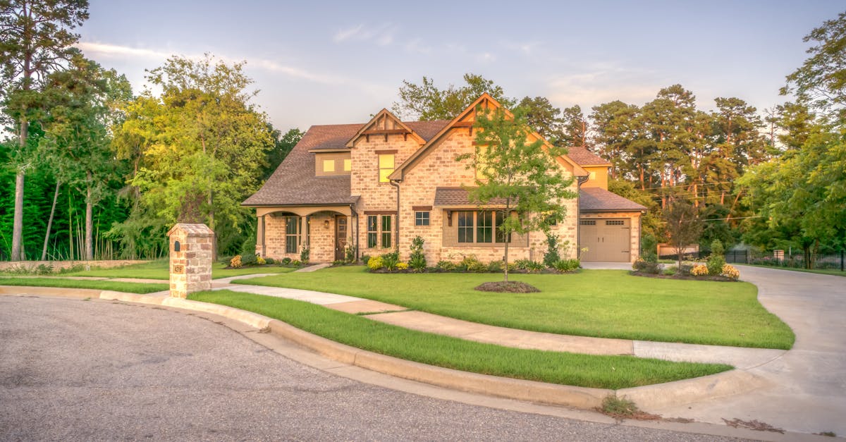 Essential Tools and Materials for Roof Shingle Repair